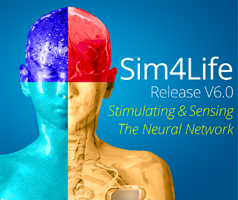 Read more about the article Sim4Life重大发布V6.0