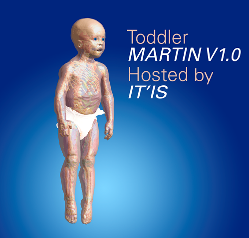 Read more about the article 发布了最新的小儿解剖模型MARTIN V1.0和用于WPT评估ViP Hand资料库