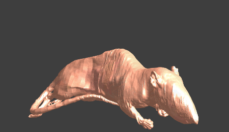 Read more about the article Release of NeuroRat V4.0 for In Silico Neuromodulation Testing