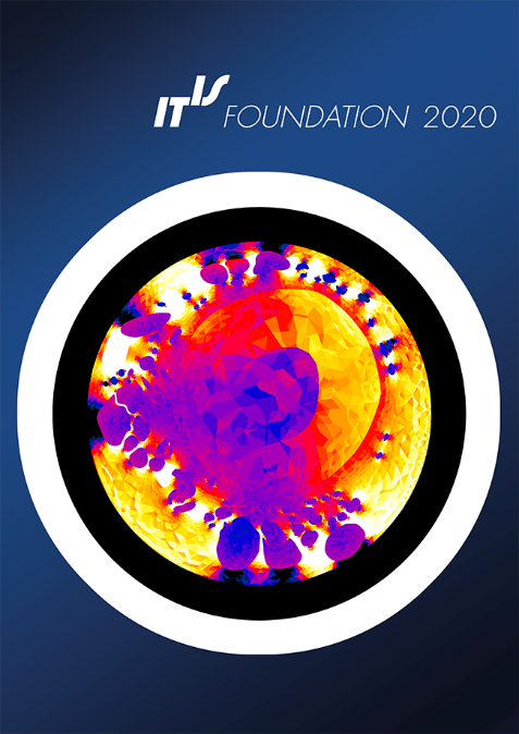 Read more about the article IT’IS Annual Report 2020