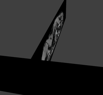 Read more about the article Release of MRI Mice V1.0 for Computational Investigations