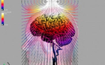 EM准靜態電磁求解器(P-EM-QS)2