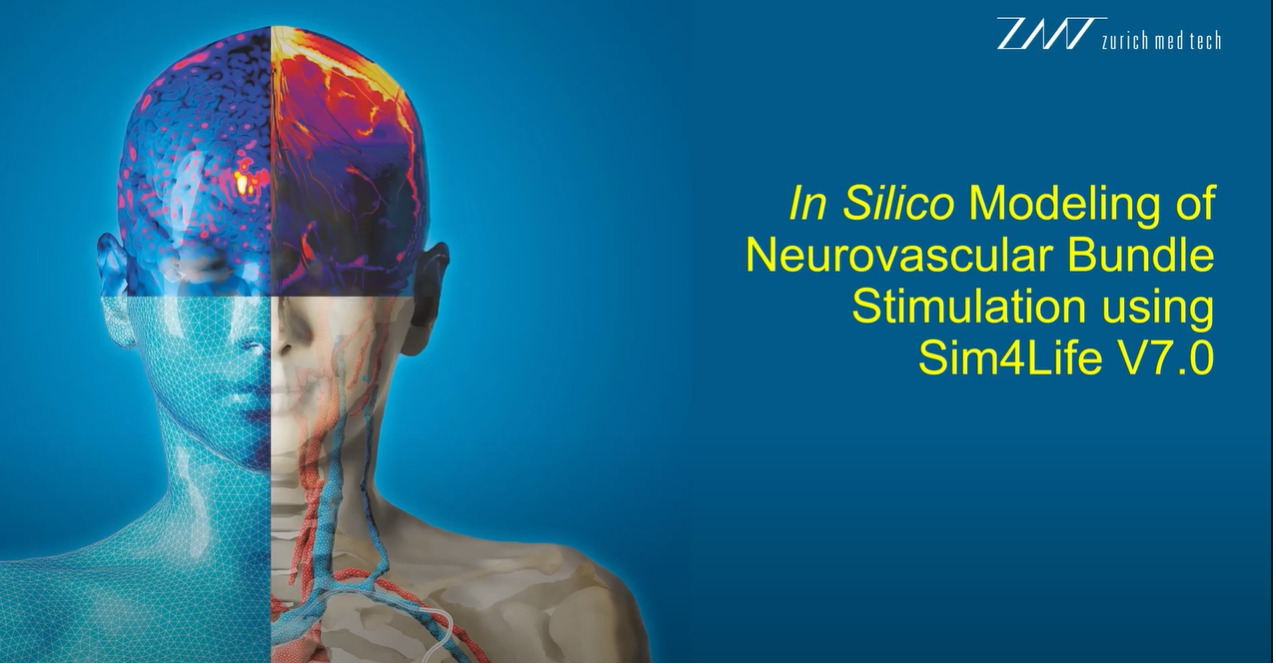 Read more about the article In Silico Modeling of Neurovascular Bundle Stimulation in Sim4Life V7.0