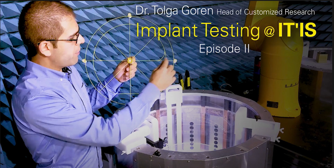 Read more about the article Implant Safety Evaluation at IT’IS – Episode II: Model Validation using Test Field Diversity