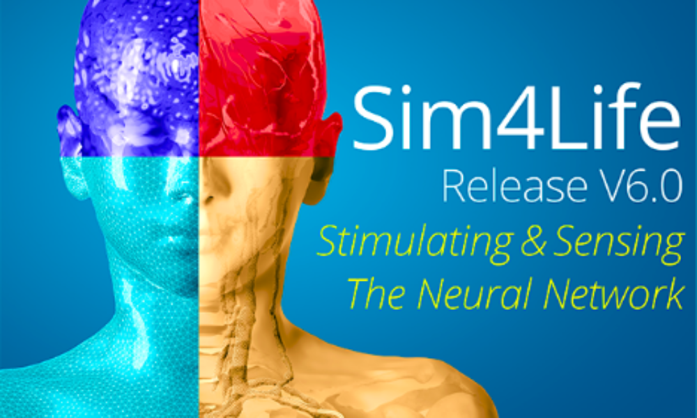 Sim4LifeV6.0